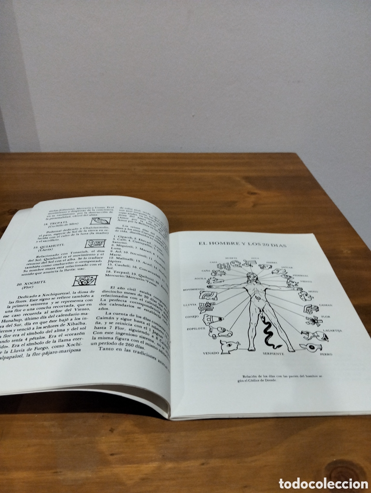 Libros de segunda mano: El calendario azteca - Foto 4