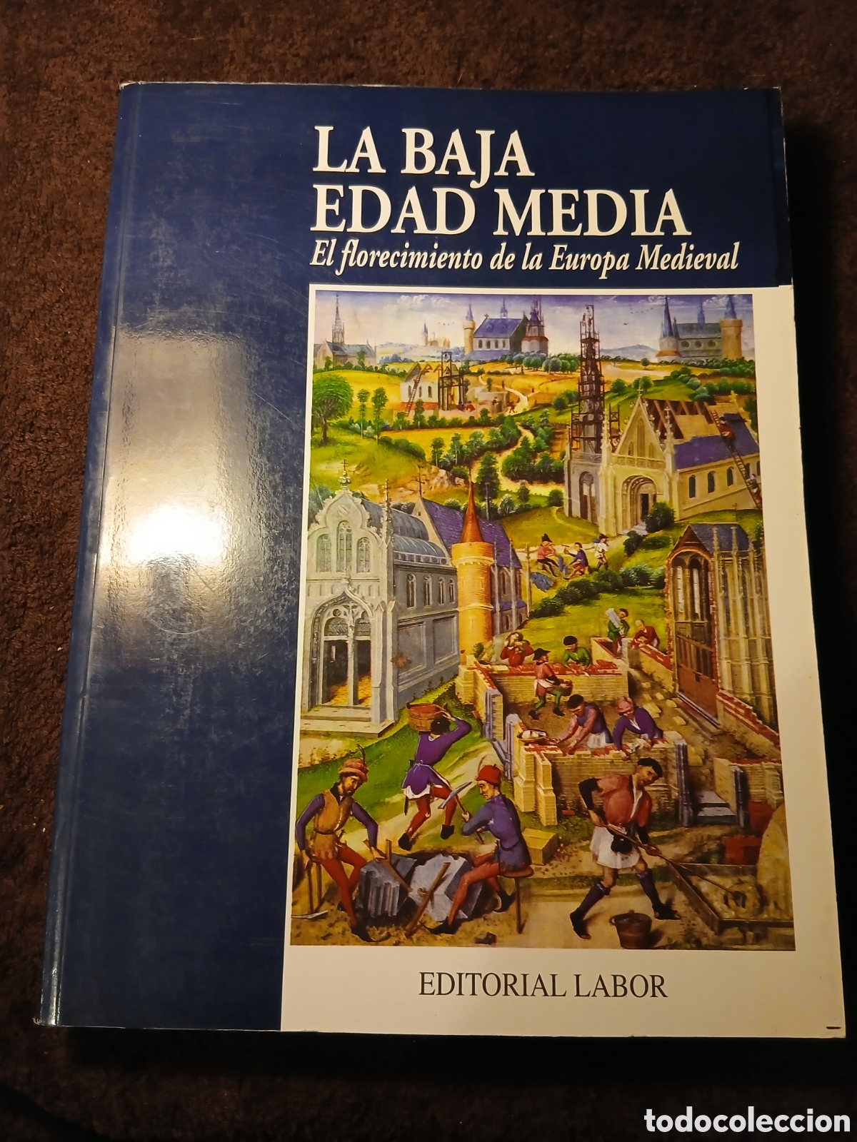 Libros de segunda mano: La baja edad media. El florecimiento de la Europa Medieval.
