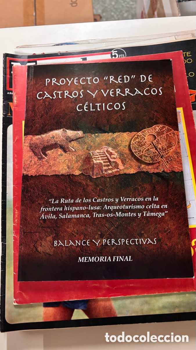 Libros de segunda mano: PROYECTO &rdquo;RED&rdquo; DE CASTROS Y VERRACOS C&Eacute;LTICOS