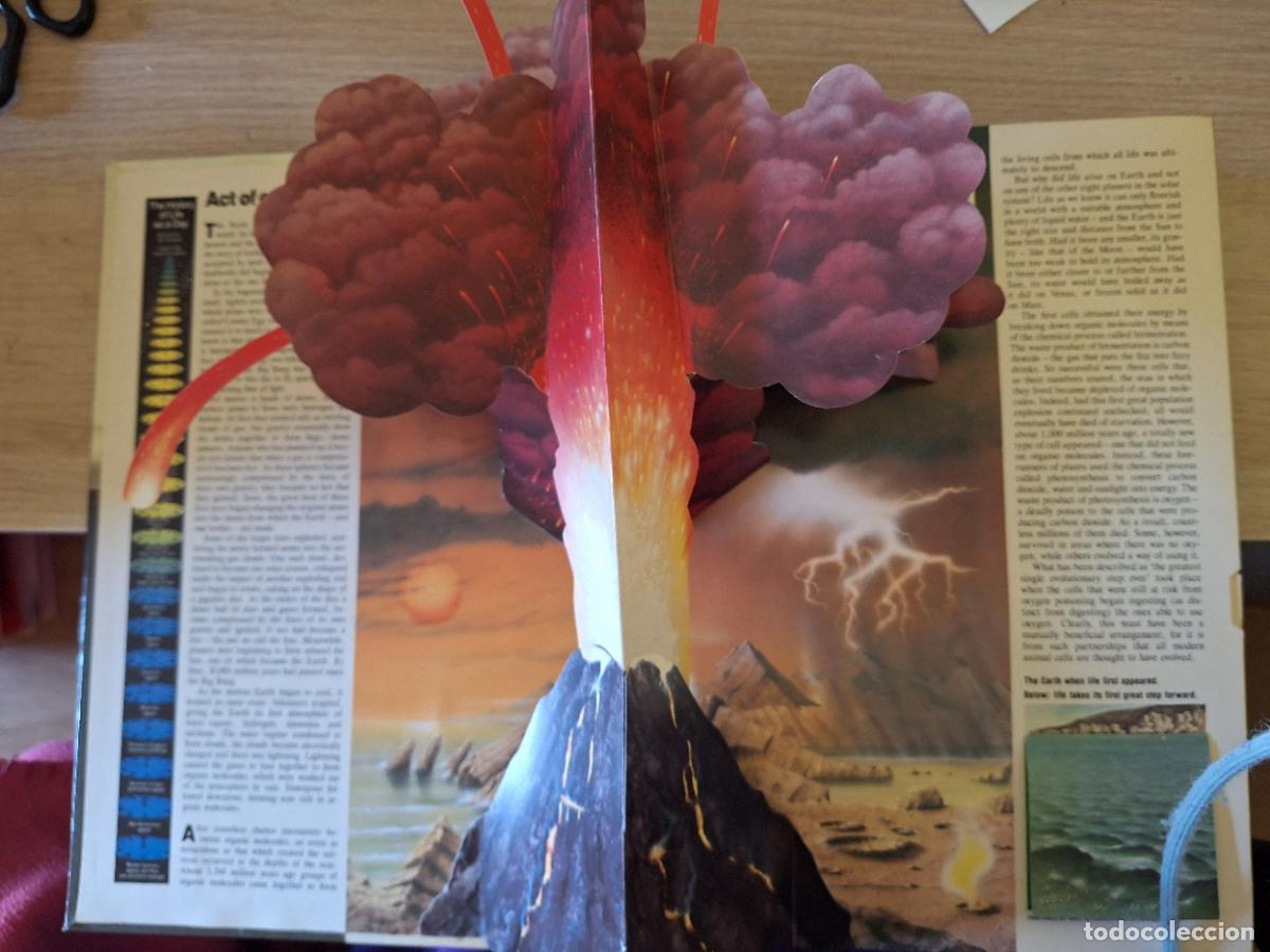 Libros de segunda mano: EVOLUTION. LIBRO POP UP. - HAWKEY, Raymond. - Foto 2