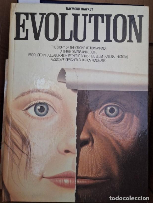 Libros de segunda mano: EVOLUTION. LIBRO POP UP. - HAWKEY, Raymond. - Foto 1
