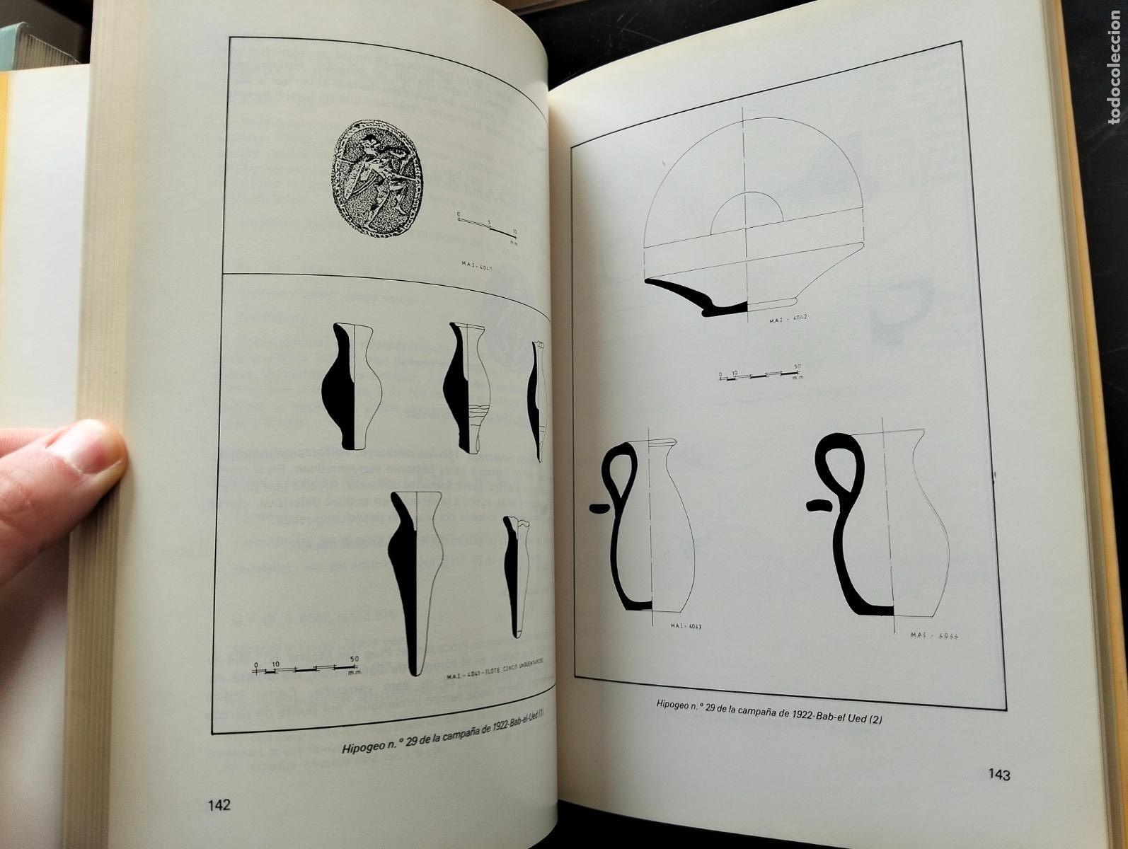 Libros de segunda mano: Arqueologia. Historia. Escarabeos, Museo Arqueologico de Ibiza, J. Hernandez, 1982 VISITA CATALOGO
