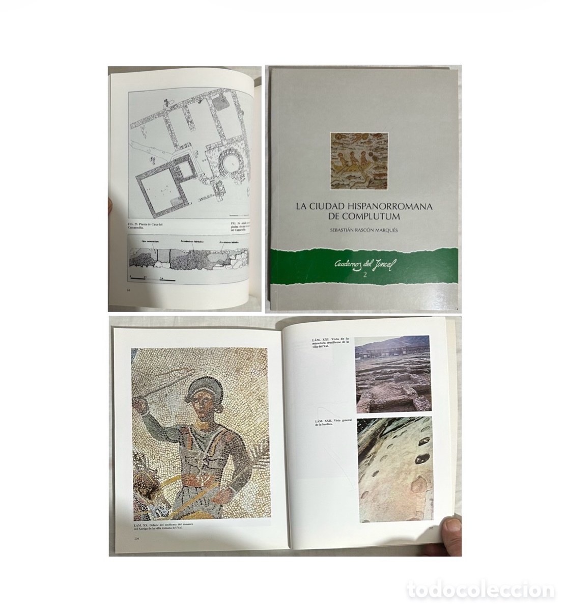 Libros de segunda mano: Arqueolog&iacute;a, La Ciudad Hispanorromana de Complutum. Sebasti&aacute;n Rasc&oacute;n Marqu&eacute;s. 1995.