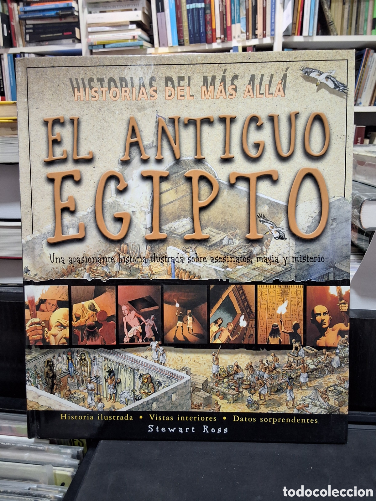 Libros de segunda mano: EL ANTIGUO EGIPTO. HISTORIAS DEL M&Aacute;S ALL&Aacute; - ILUSTRADO - S. ROSS - ENV&Iacute;O DESDE 1,95 &euro;
