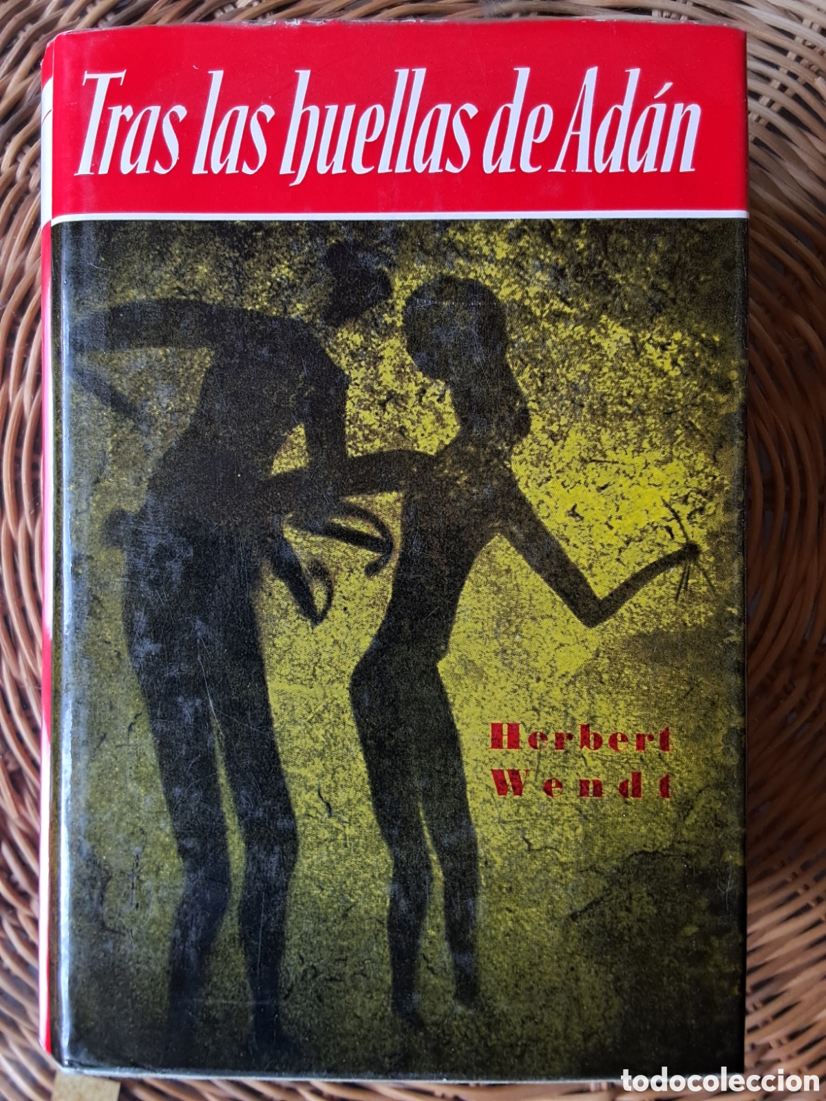 Libros de segunda mano: Herbet Wendt:&rdquo; Tras las huellas de Ad&aacute;n &rdquo;.