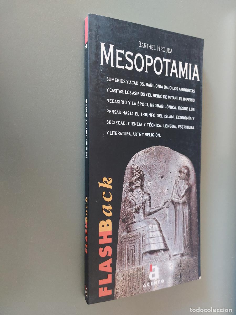 Libros de segunda mano: MESOPOTAMIA. BARTHEL HROUDA. FLASHBACK. R&Uacute;STICA. BUEN ESTADO. E7 2 - Foto 1
