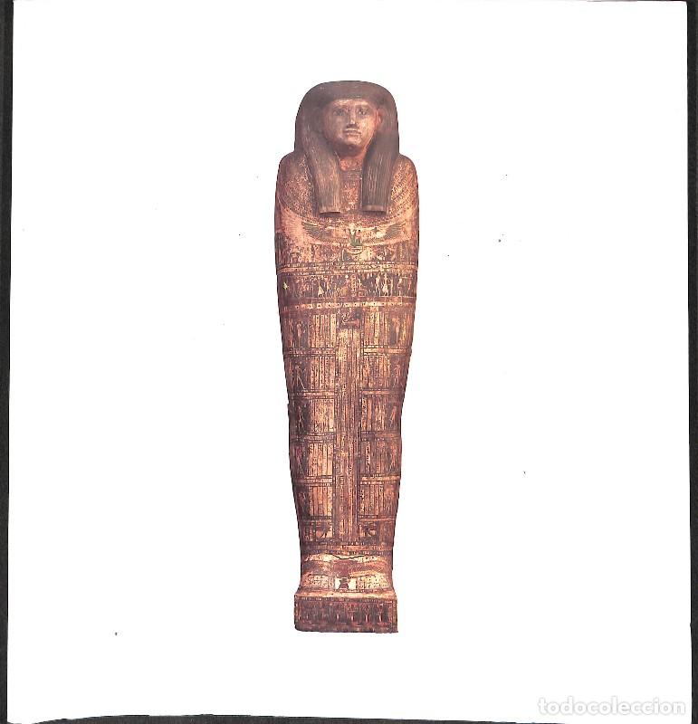 Libros de segunda mano: El Enigma de la Momia: El Rito Funerario. En el Antiguo Egipto - Dunand, Francoise/lichtenberg