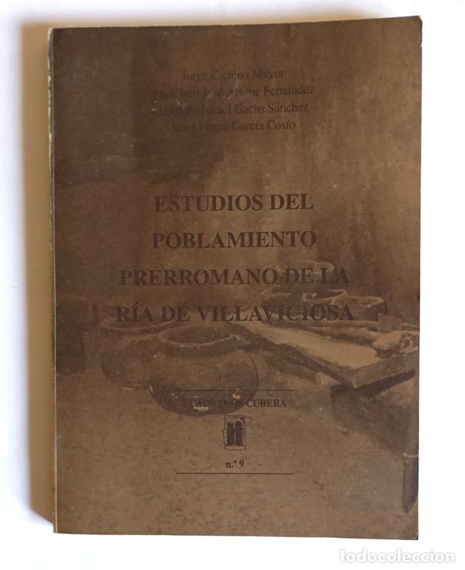 Libros de segunda mano: ESTUDIOS DEL POBLAMIENTO PRERROMANO DE LA RIA DE VILLAVICIOSA - JORGE CAMINO MAYOR