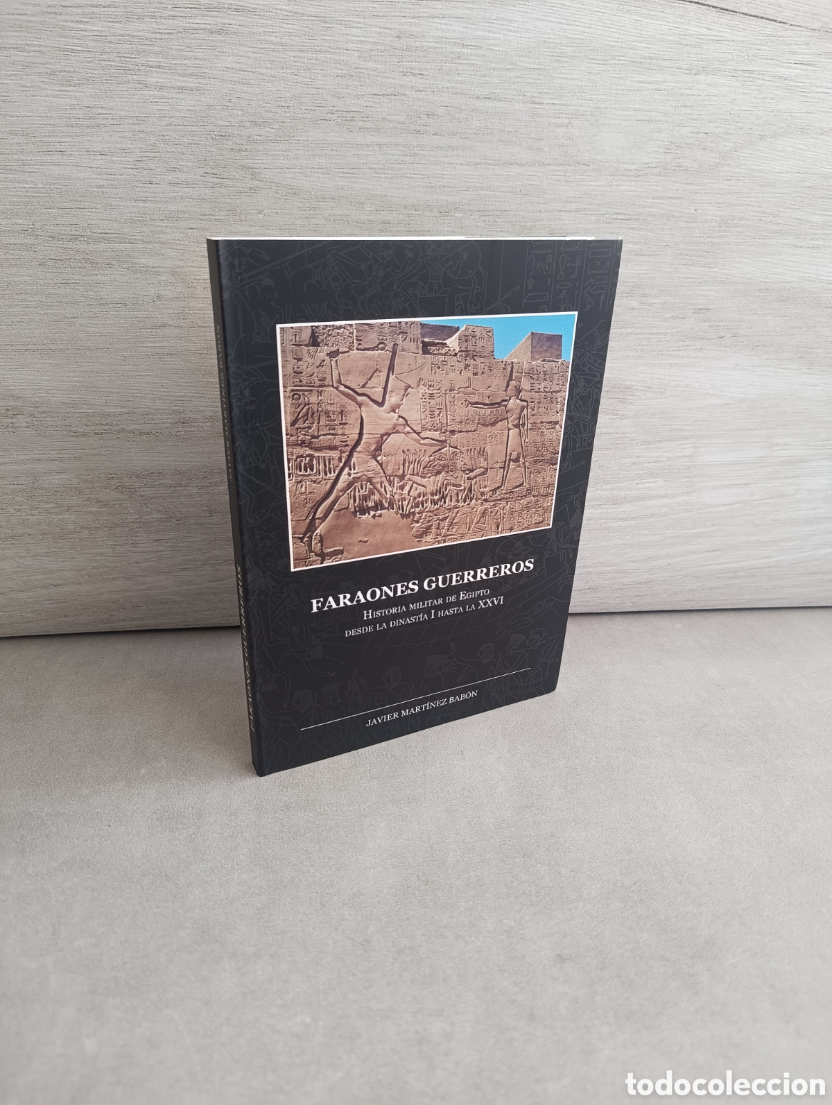 Libros de segunda mano: FARAONES GUERREROS. HISTORIA MILITAR DE EGIPTO DESDE LA DINASTIA I HASTA LA XXVI. Javier Mart&iacute;nez