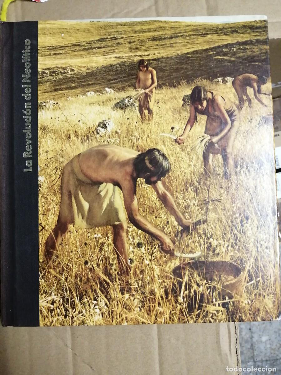 Libros de segunda mano: LIBRO LA REVOLUCI&Oacute;N DEL NEOL&Iacute;TICO 1981 3&ordf; IMPRESI&Oacute;N SALVAT EDITORES