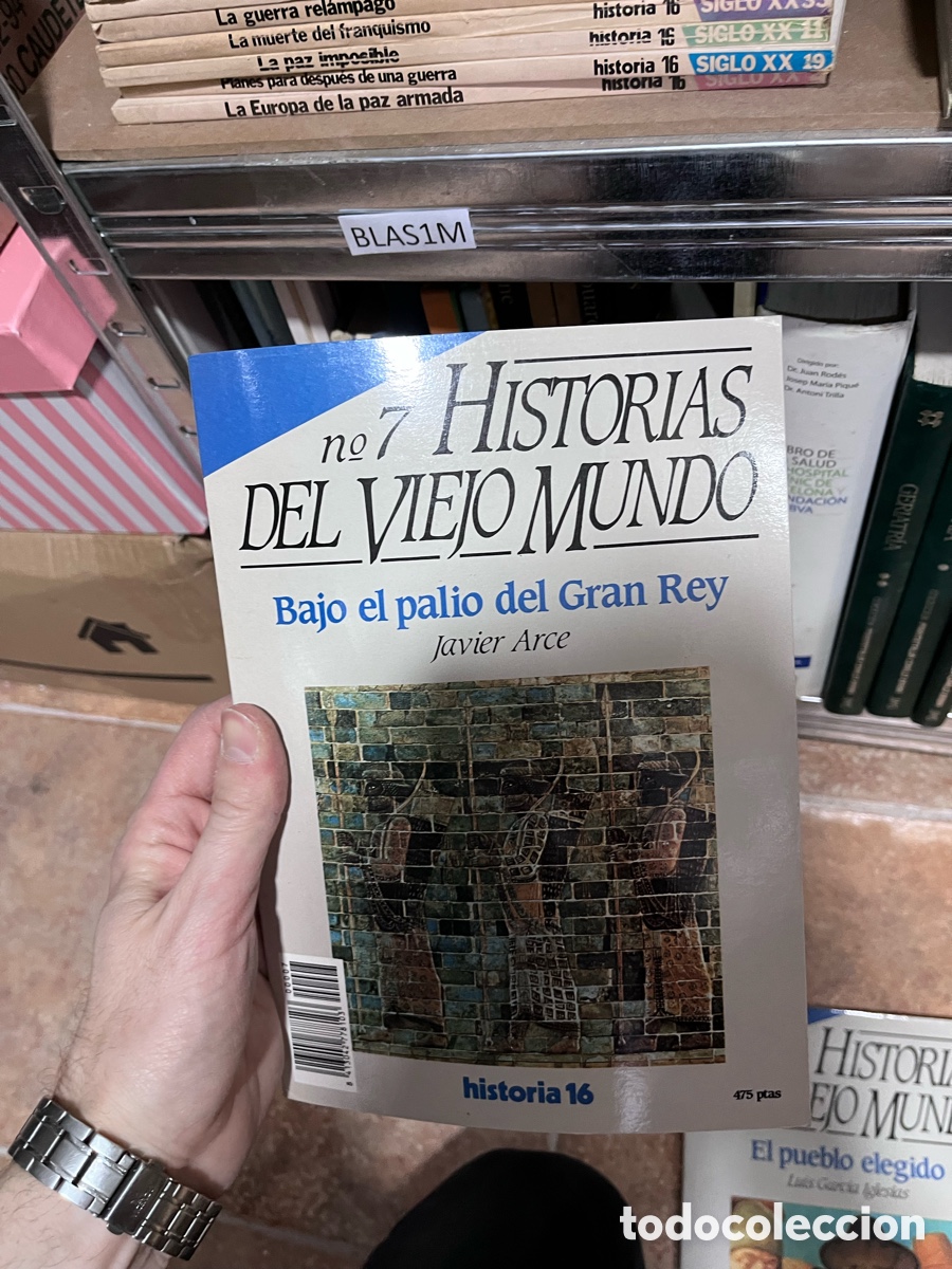 Libros de segunda mano: BLAS1M n.7 HISTORIAS DEL VIEJO MUNDO Bajo el palio del Gran Rey Javier Arce