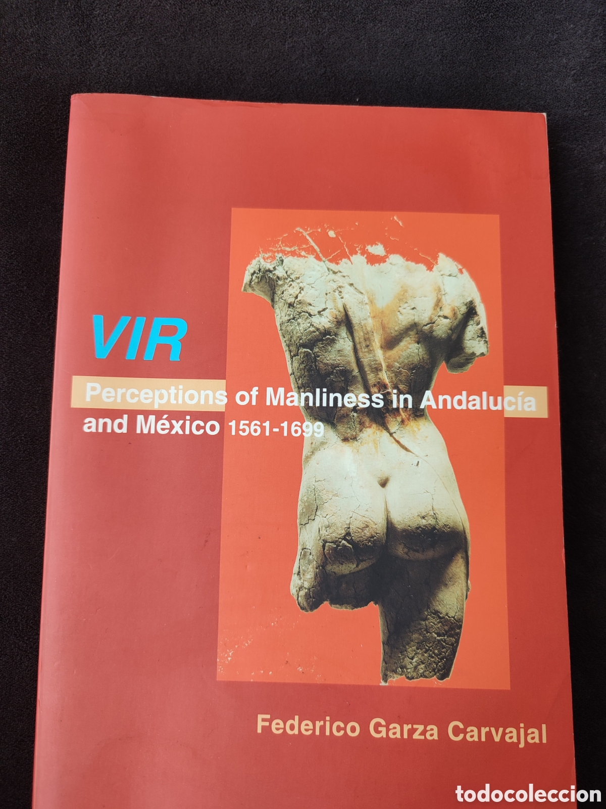 Libros de segunda mano: VIR Perceptions of Maliness in Andaluc&iacute;a and M&eacute;xico 1561-1699
