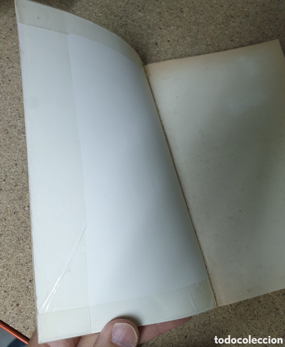 Libros de segunda mano: C&eacute;sar: comentarios a la guerra civil - Foto 2