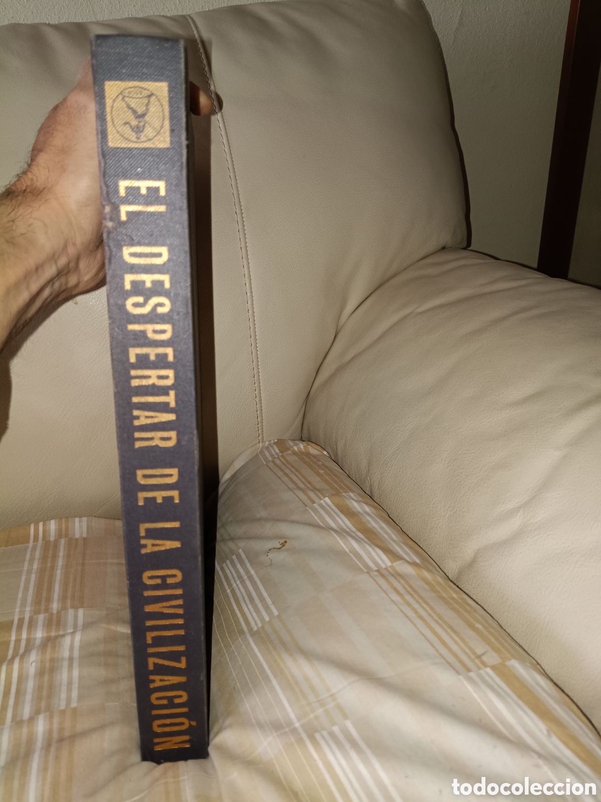 Libros de segunda mano: El despertar de la civilizaci&oacute;n