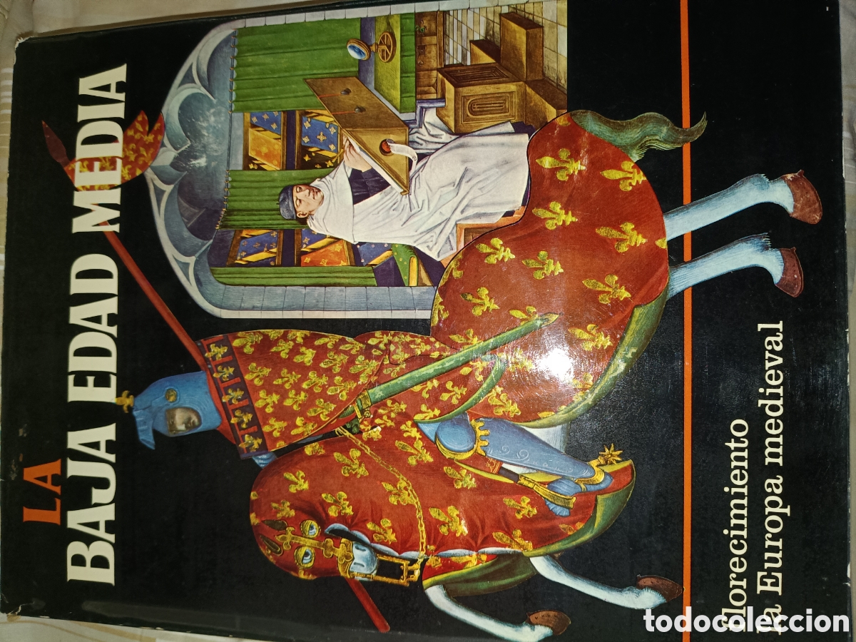 Libros de segunda mano: La baja edad media libro