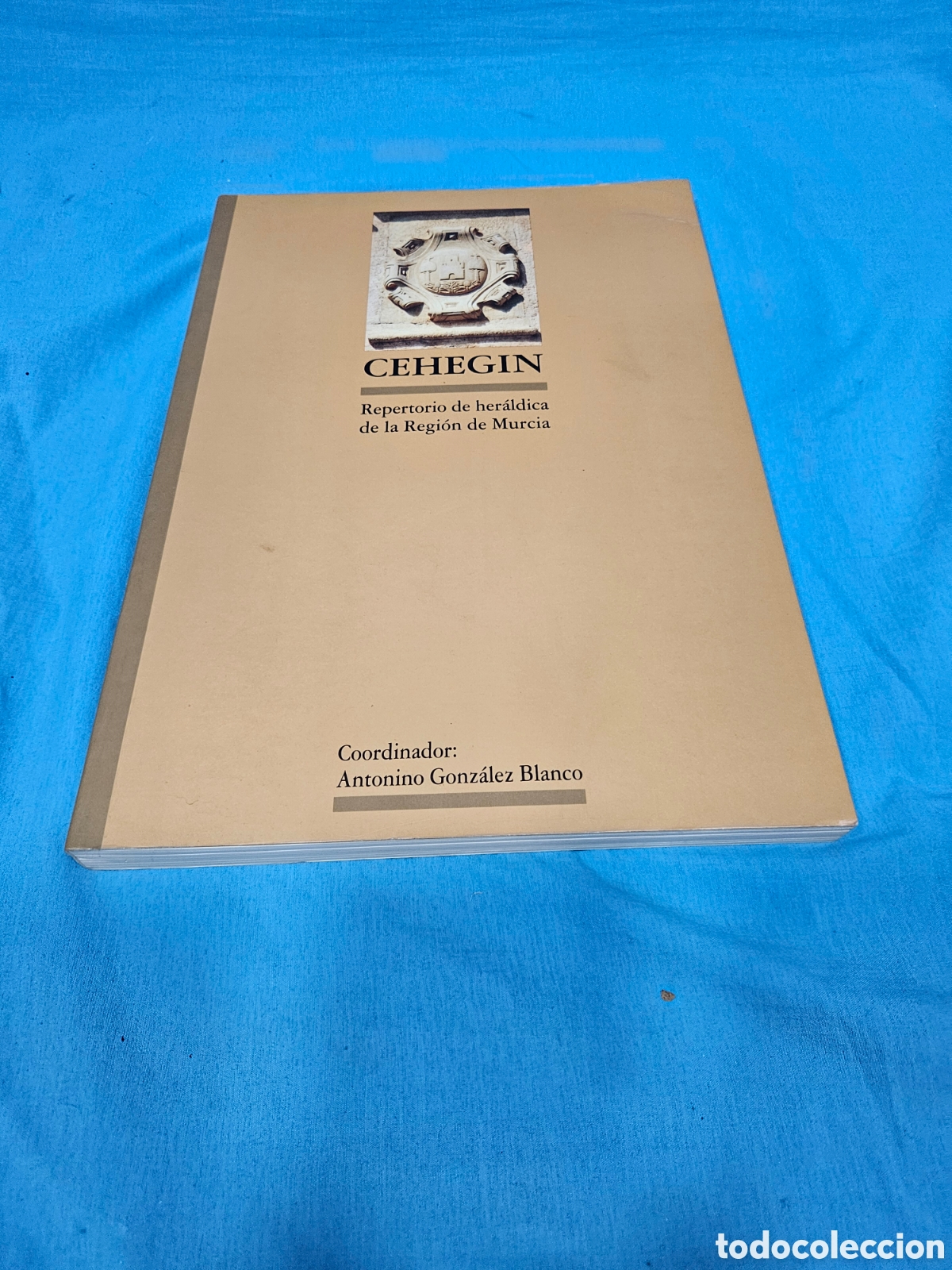 Libros de segunda mano: CEHEGIN. REPERRORIO DE HERALDICA DE LA REGION DE MURCIA. ANTONIO GONZALEZ BLANCO