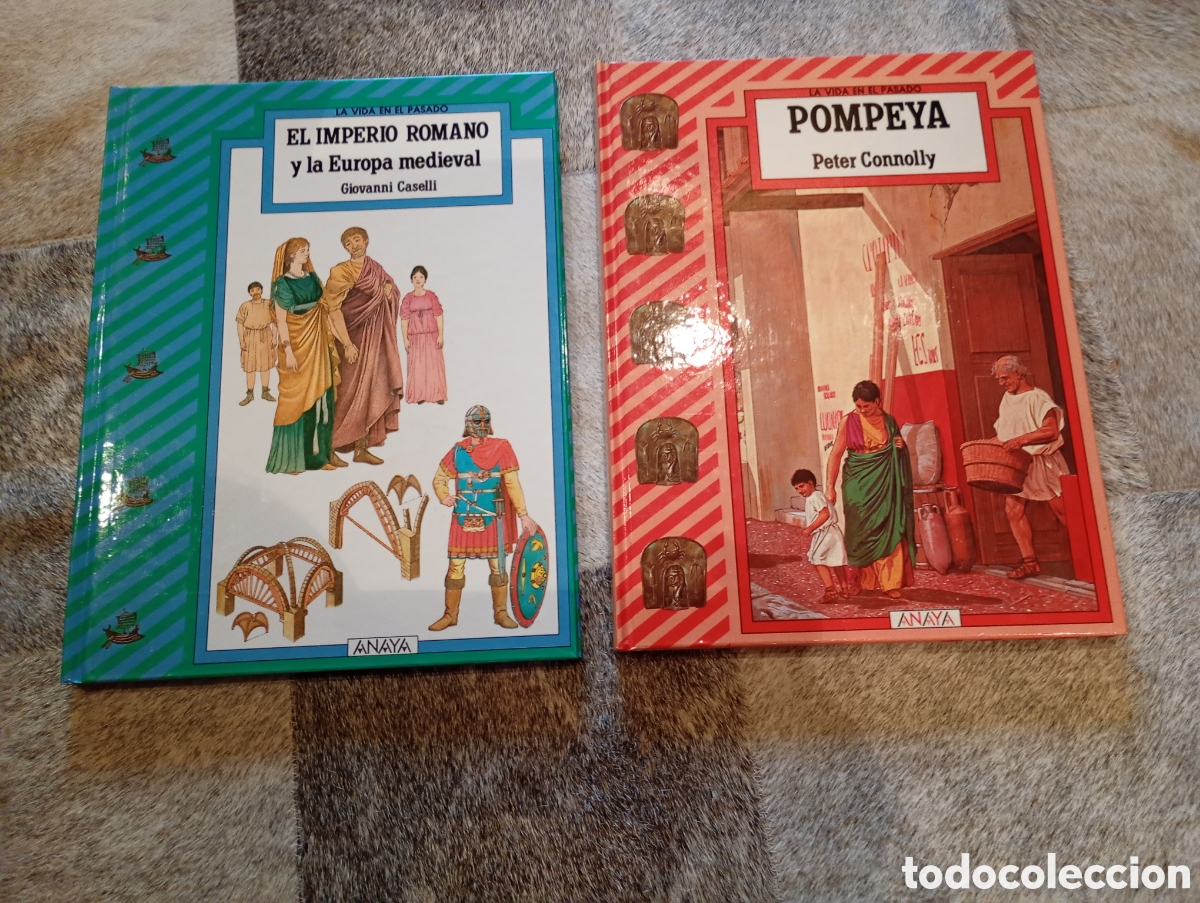 Libros de segunda mano: Imperio romano y europa medieval, Pompeya