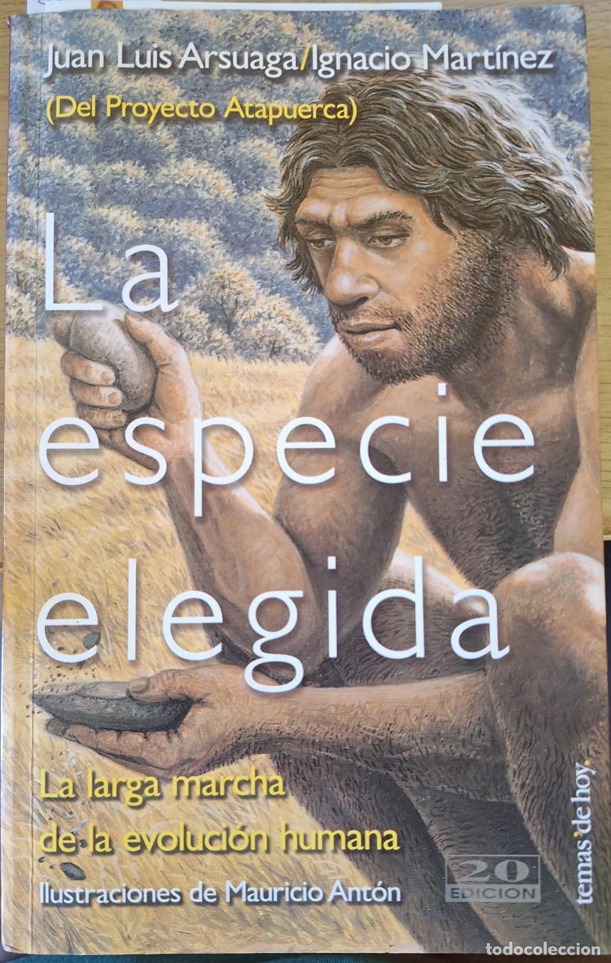Libros de segunda mano: LA ESPECIE ELEGIDA. - ARSUAGA/MARTINEZ, Juan Luis/Ignacio.