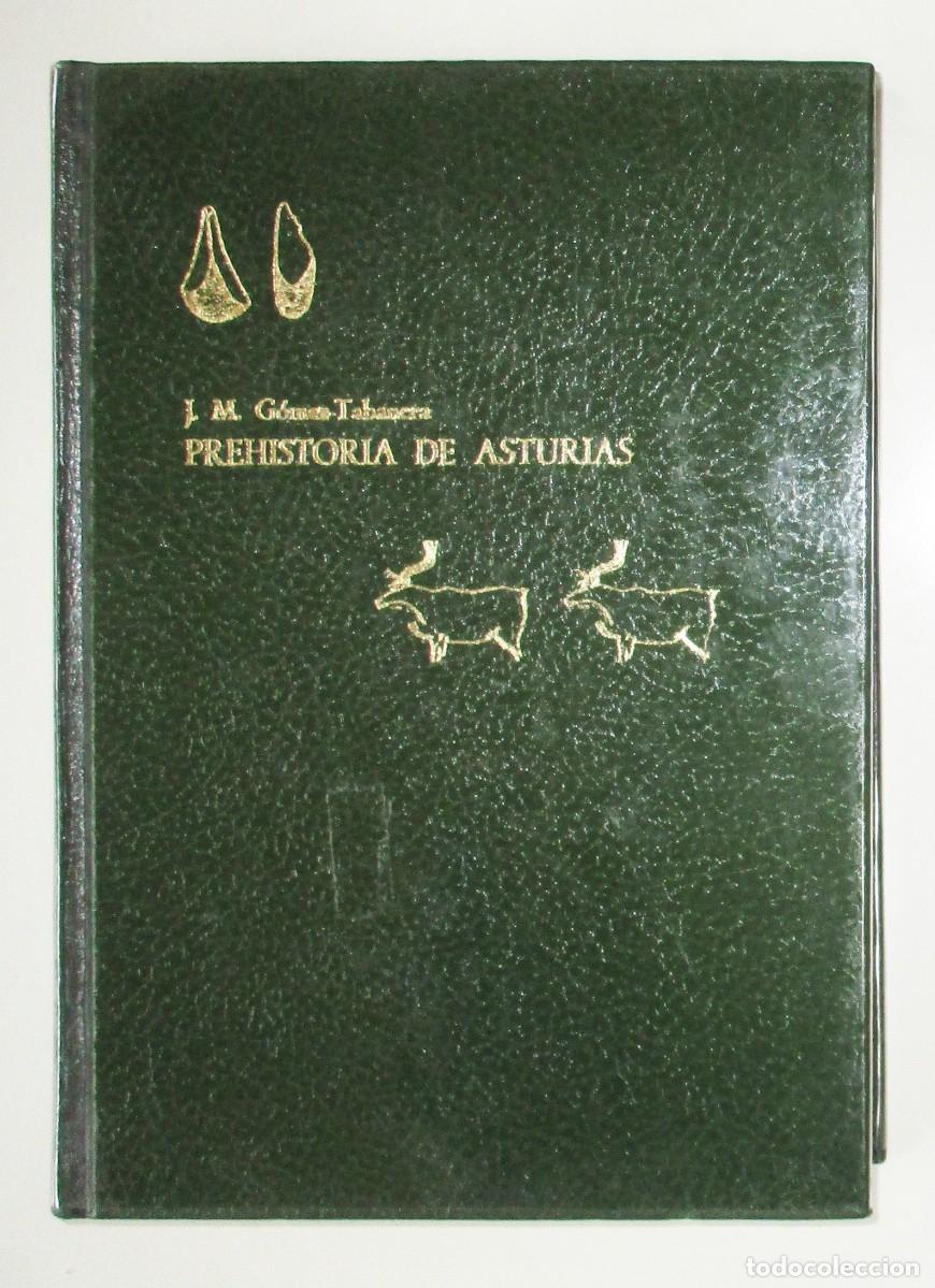 Libros de segunda mano: PREHISTORIA DE ASTURIAS. DE LA EDAD DE PIEDRA A LA ROMANIZACI&Oacute;N. G&Oacute;MEZ TABANERA. 1974.