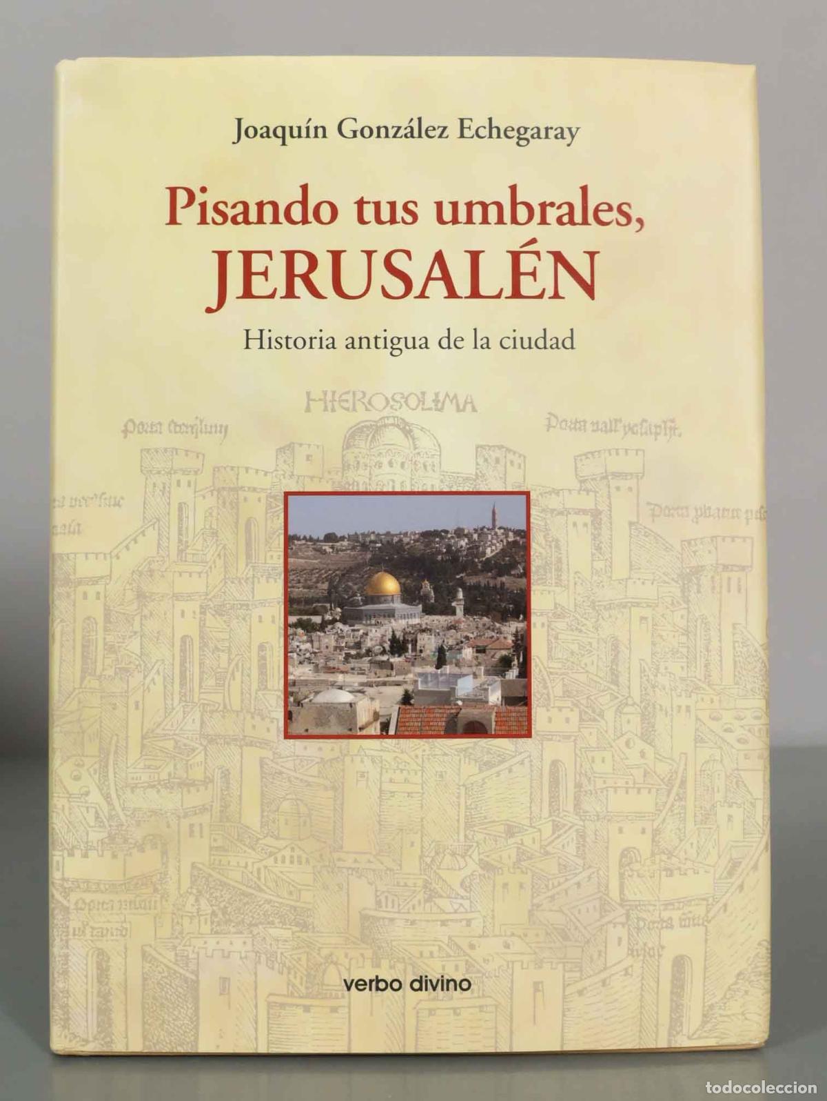 Libros de segunda mano: Pisando tus umbrales, Jerusal&eacute;n: Historia antigua de la ciudad - Joaqu&iacute;n Gonz&aacute;lez Echegaray - Editor