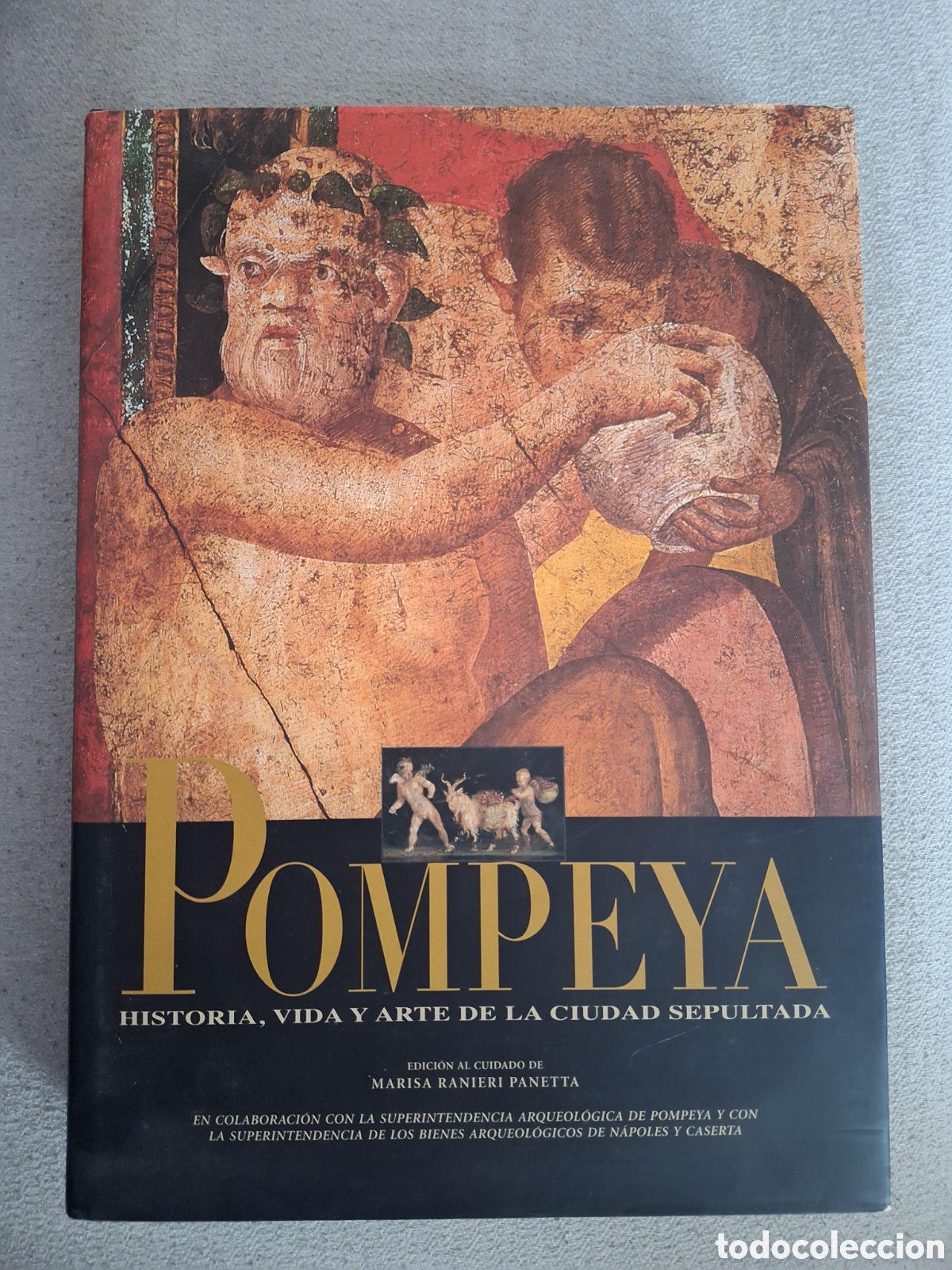 Libros de segunda mano: Libro Pompeya. Historia, vida y arte de la ciudad