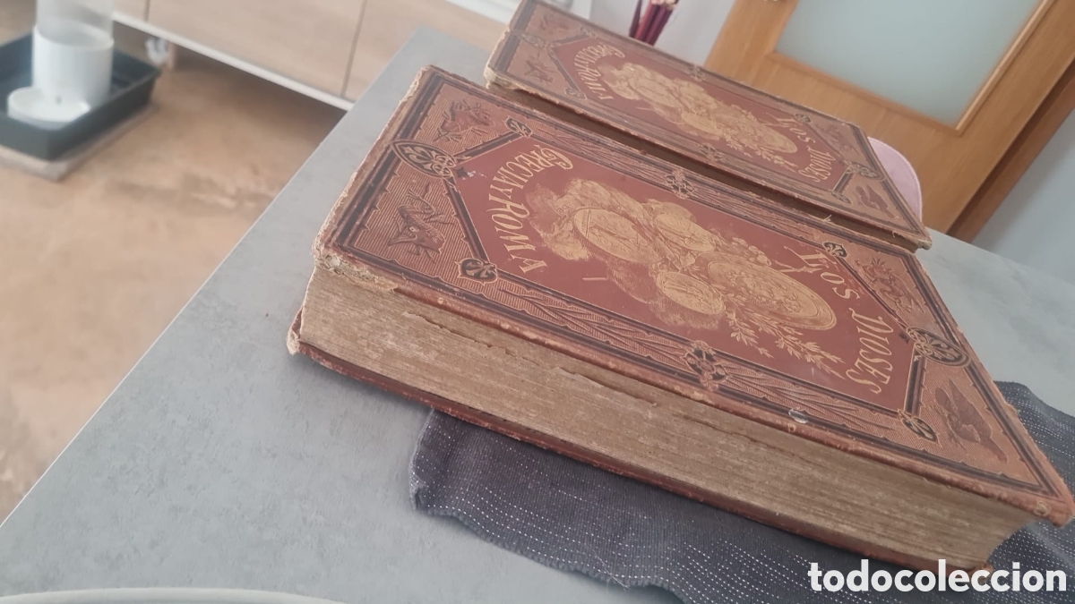 Libros de segunda mano: Los dioses de Grecia y roma
