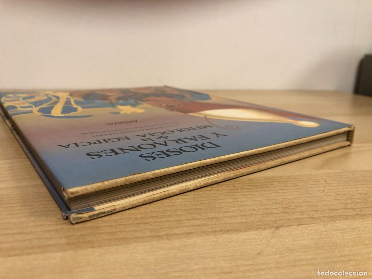 Libros de segunda mano: Dioses y Faraones de la Mitologia Egipcia Geraldine Harris David O&acute;Connor Anaya