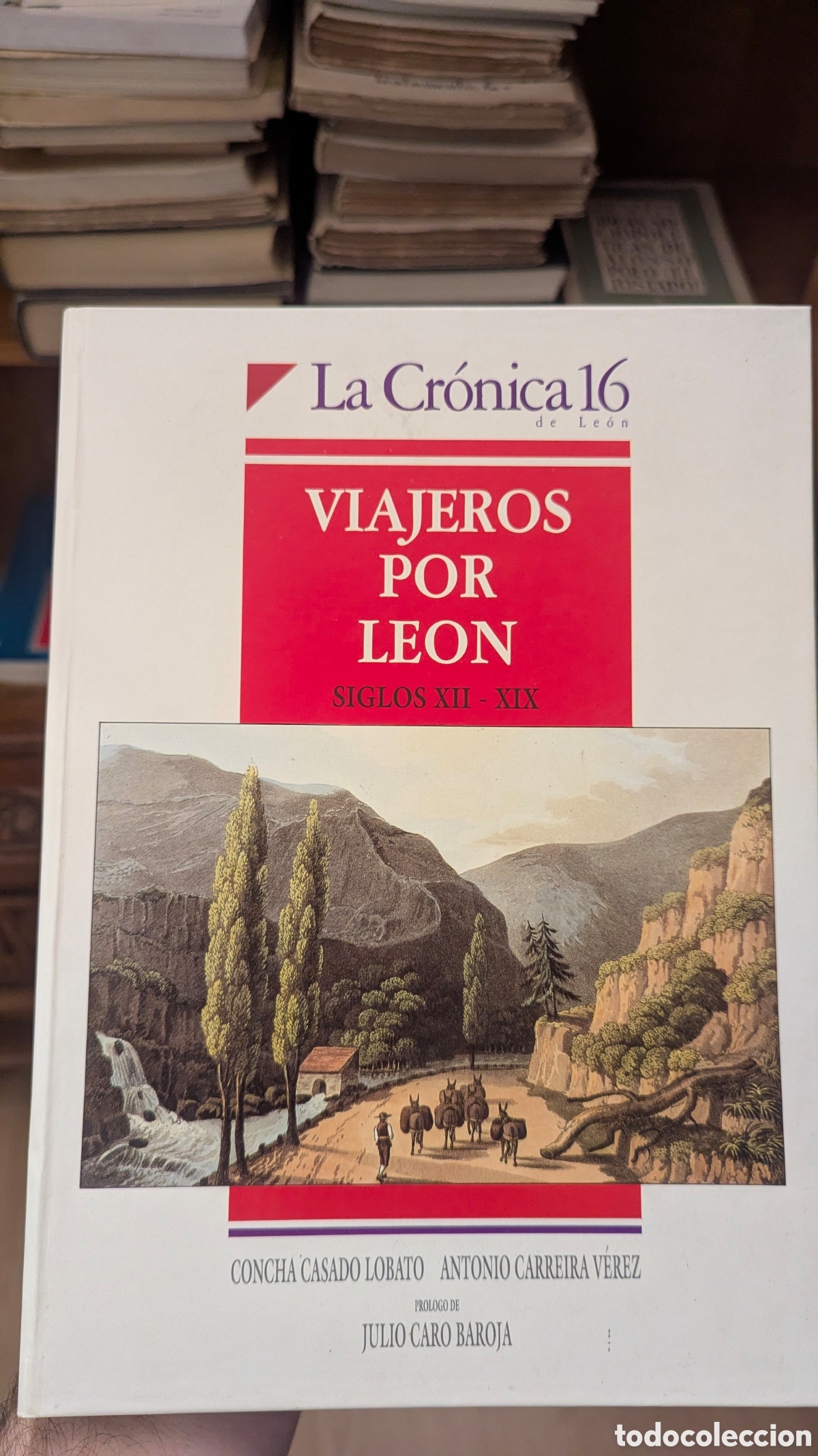 Libros de segunda mano: ​La sociedad vasca en la alta Edad Media (siglos VIII-XI) - Jos&eacute; Mar&iacute;a Lacarra - 1976