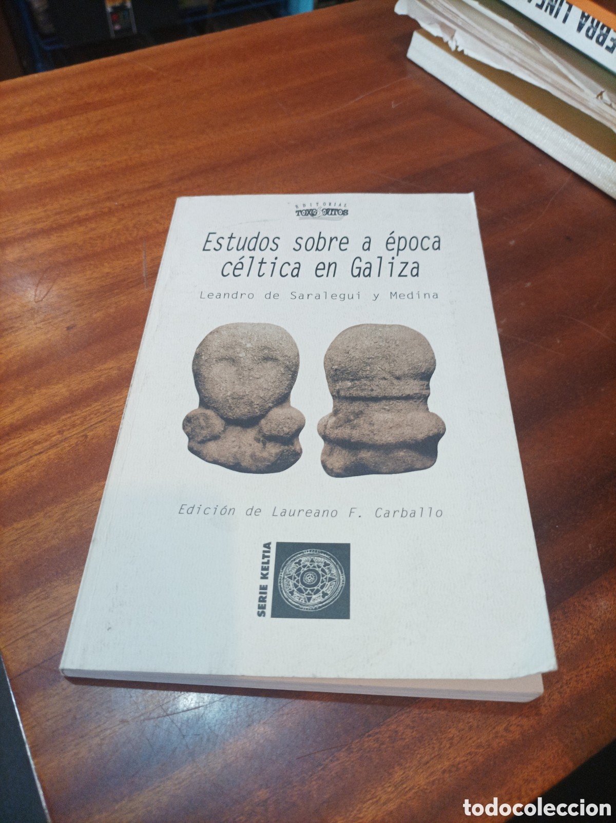 Libros de segunda mano: ESTUDOS SOBRE A &Eacute;POCA C&Eacute;LTICA EN GALIZA.LEANDRO DE SARALEGUI Y MEDINA..2008