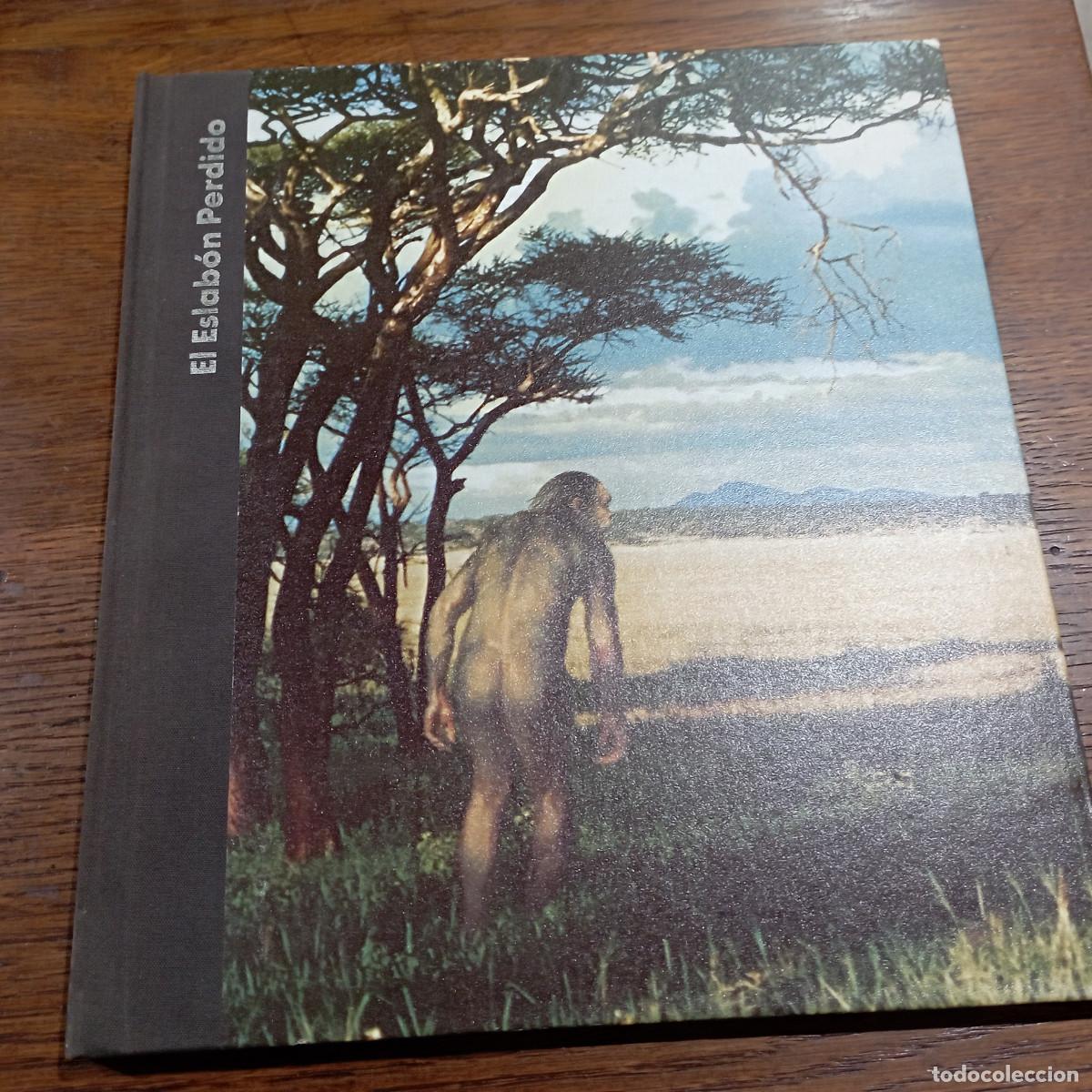 Libros de segunda mano: Or&iacute;genes del hombre. El eslab&oacute;n perdido - time life - GC1