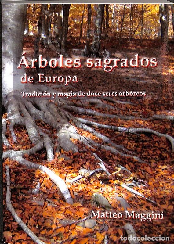 Libros de segunda mano: &Aacute;rboles sagrados de Europa: Tradici&oacute;n y magia de doce seres arb&oacute;reos - Matteo Maggini - Rubi&ntilde;os 1860