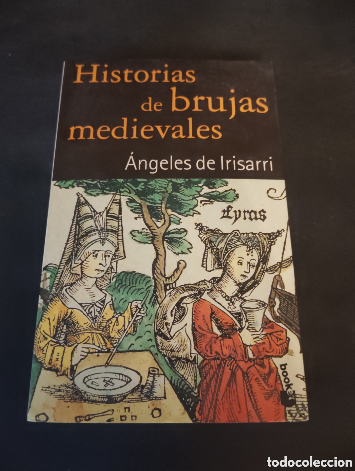 Libros de segunda mano: Historias de brujas medievales | &Aacute;ngeles de Irisarri