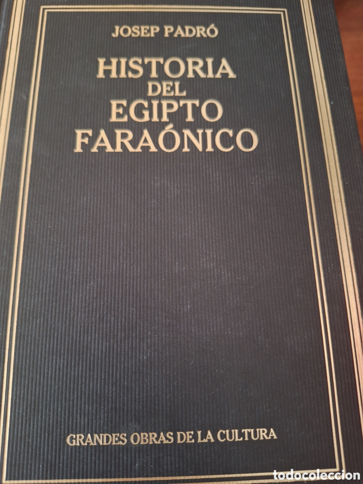 Libros de segunda mano: Historia del Egipto Fara&oacute;nico. J.Padr&oacute;