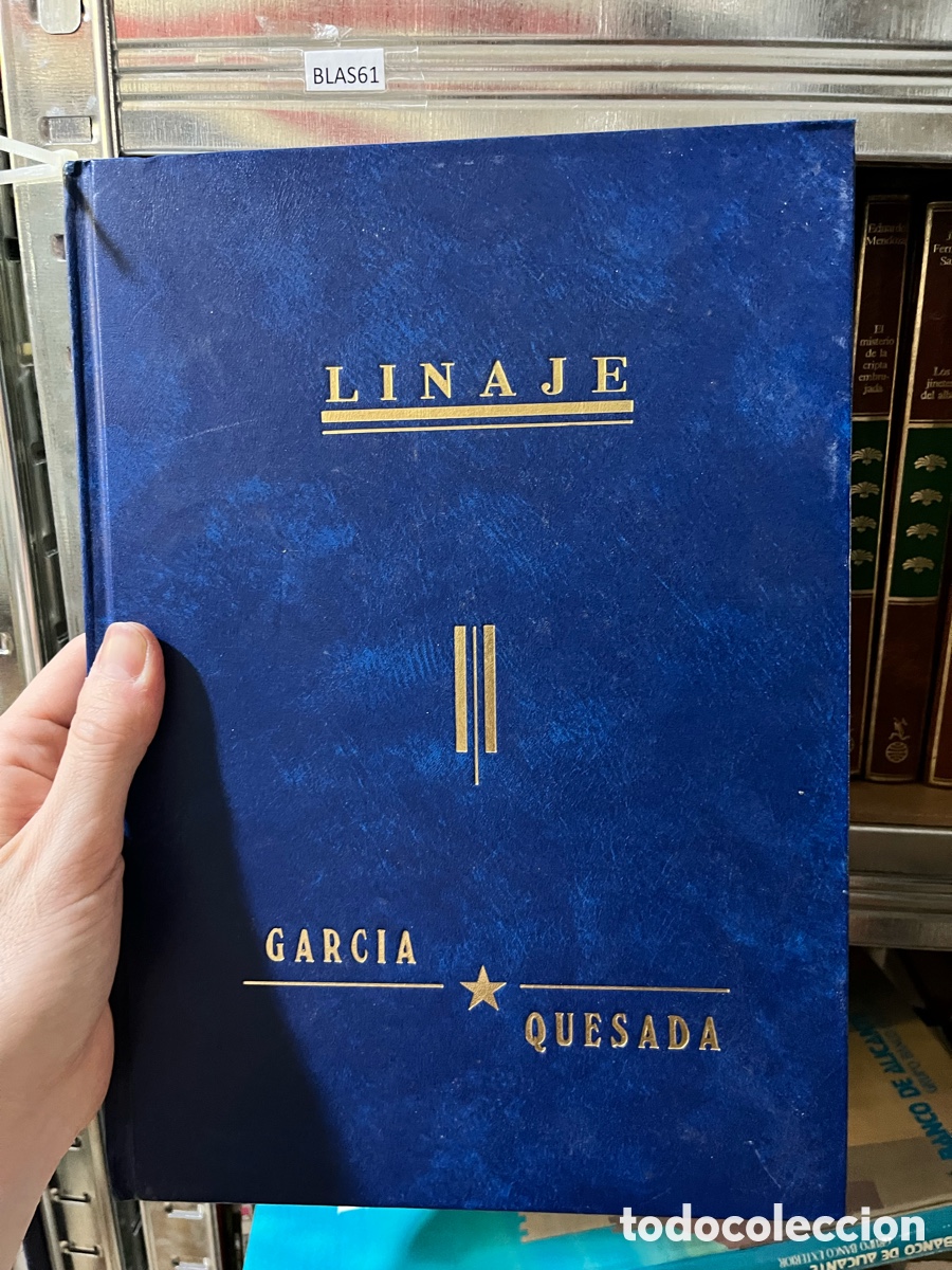 Libros de segunda mano: BLAS61 LINAJE her&aacute;ldica de apellidos GARCIA y QUESADA