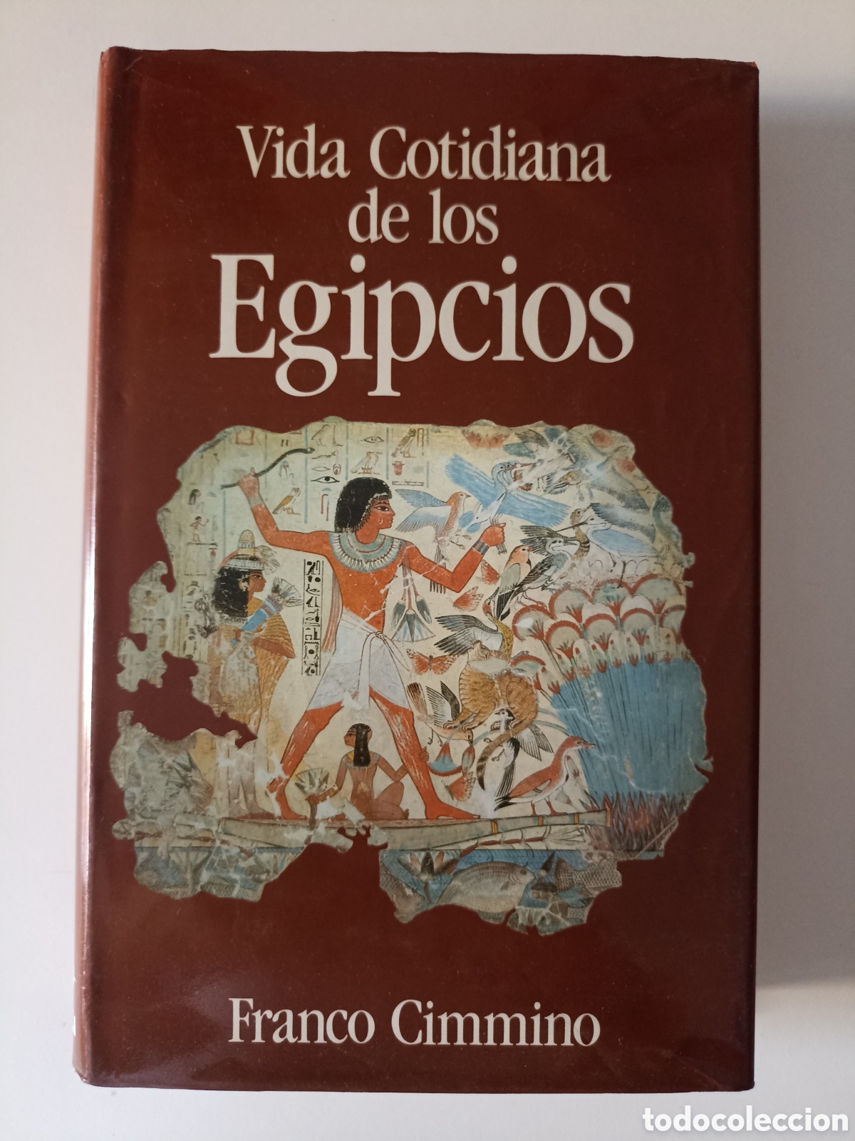 Libros de segunda mano: Franco Cimmino - Vida cotidiana de los egipcios (Edaf, 1991) Antiguo Egipto, Faraones