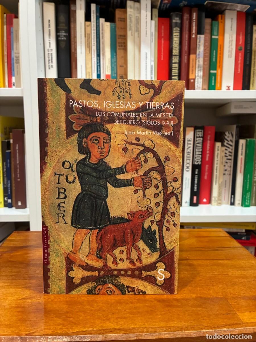 Libros de segunda mano: Pastos, iglesias y tierras. Los comunales enla meseta del Duero (siglos IX-XIII).I&ntilde;aki Martin. Silex