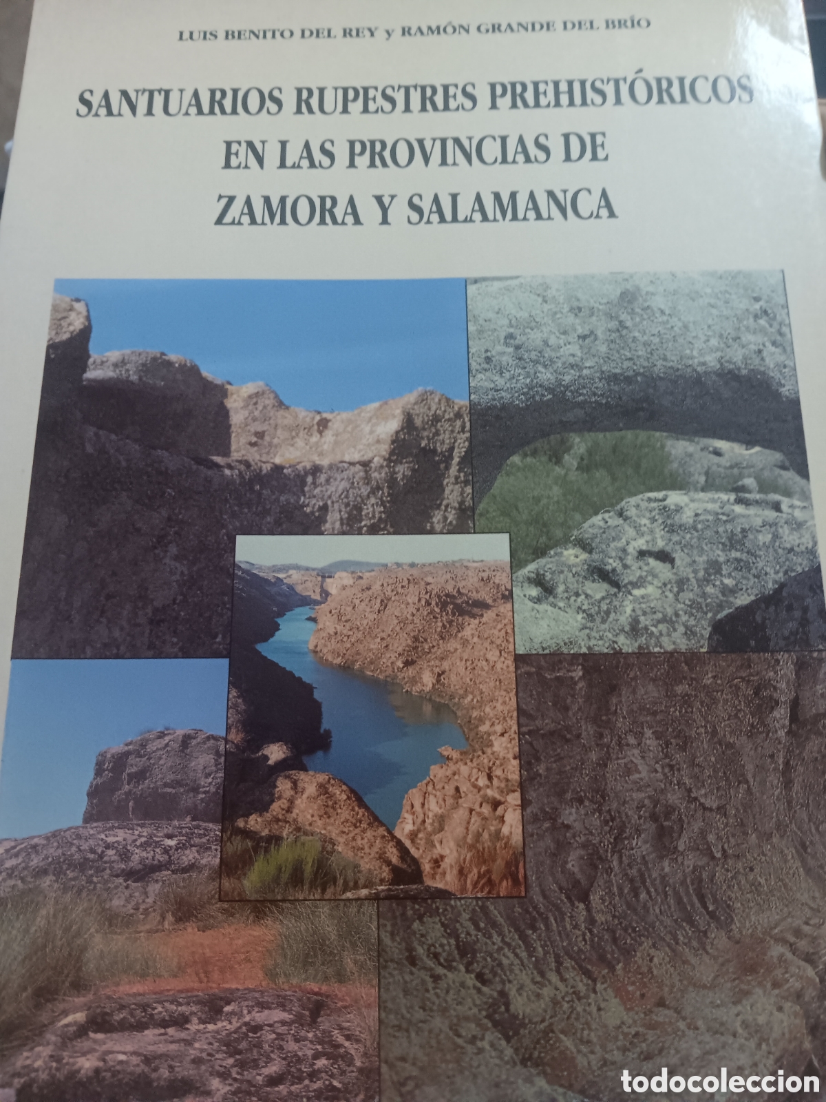 Libros de segunda mano: SANTUARIOS RUPESTRES PREHIST&Oacute;RICOS EN LAS PROVINCIAS DE ZAMORA Y SALAMANCA