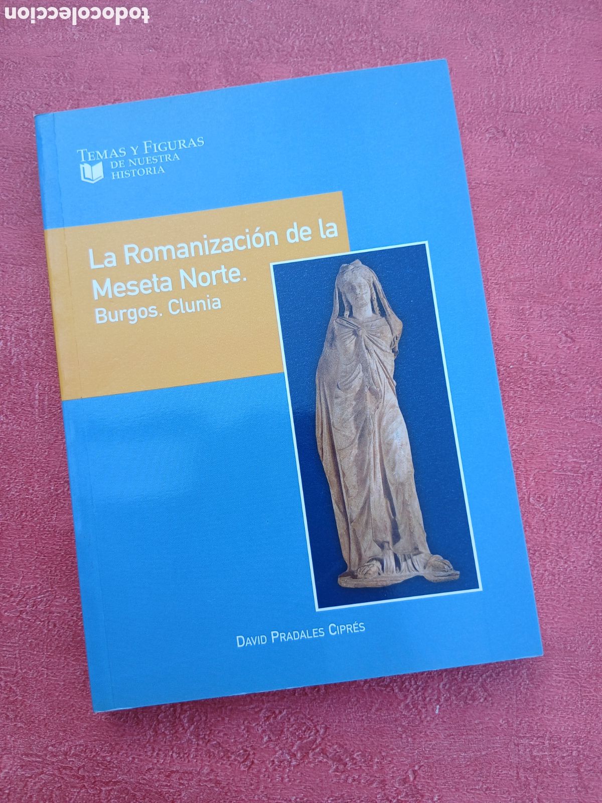 Libros de segunda mano: La Romanizaci&oacute;n de la Meseta Norte. Burgos. Clunia. David Pradales Cipr&eacute;s.