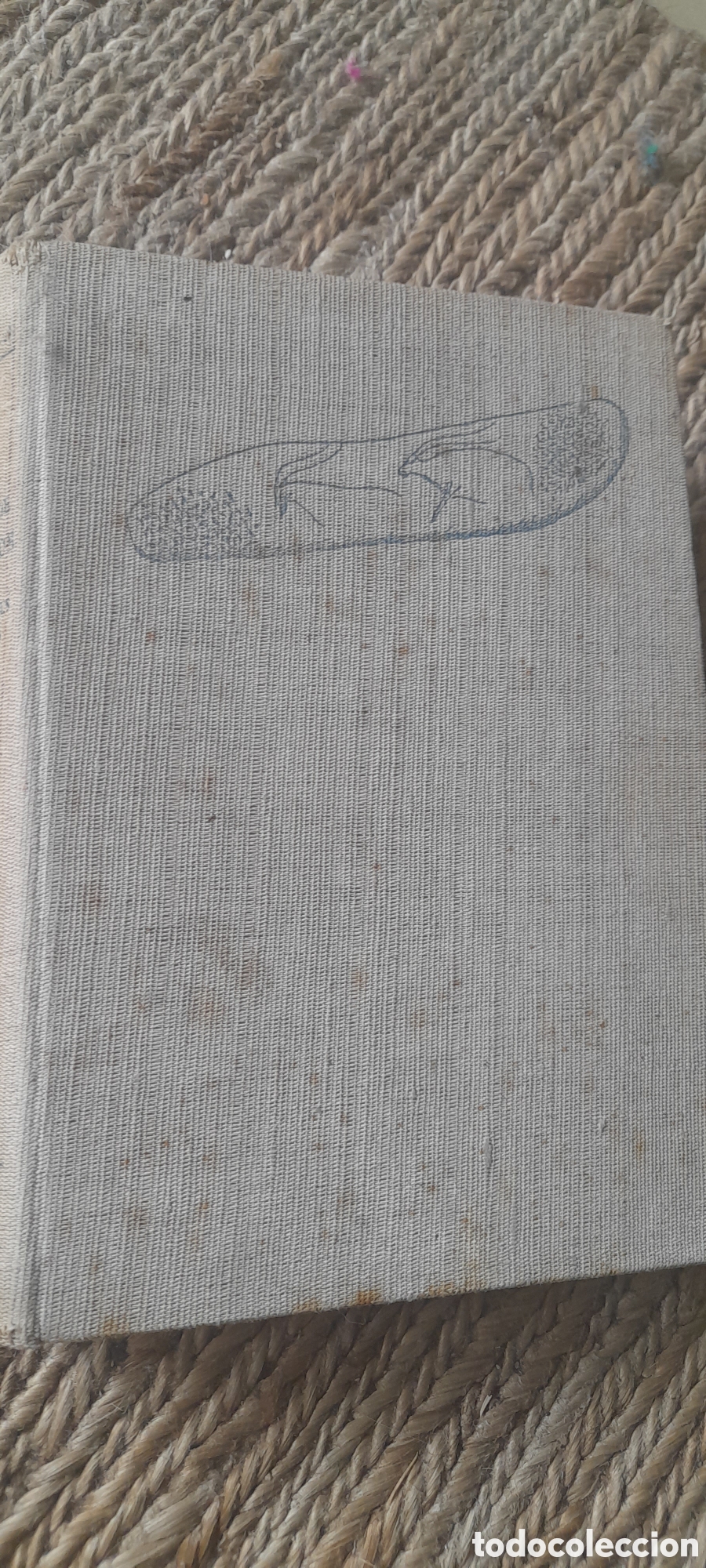 Libros de segunda mano: Origenes de los vascos. Civilizaciones primitivas. Albores hist&oacute;ricos. B. E. Lasa