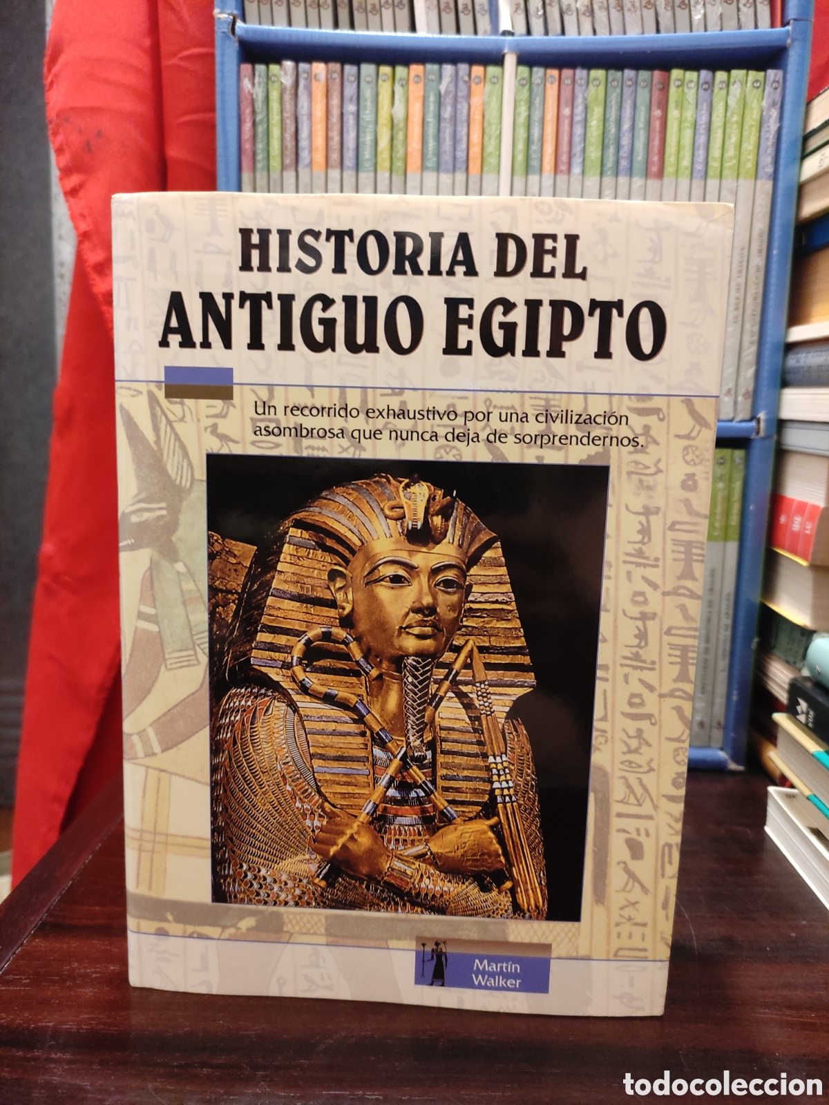Libros de segunda mano: HISTORIA DEL ANTIGUO EGIPTO - Martin Walker