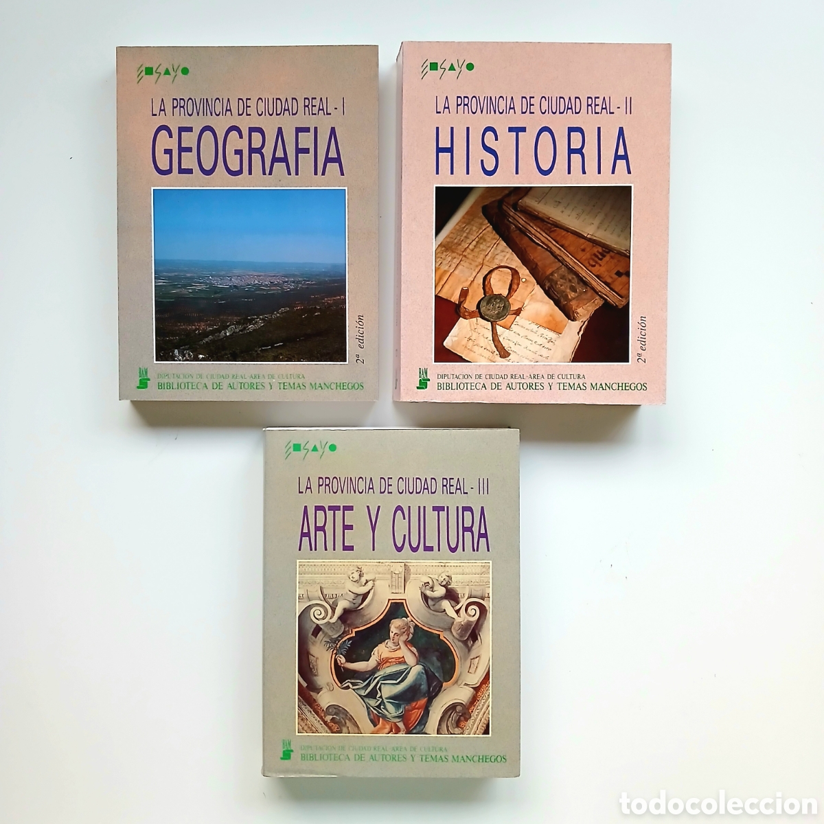 Libros de segunda mano: La Provincia de Ciudad Real: Geograf&iacute;a, Historia, Arte y Cultura.