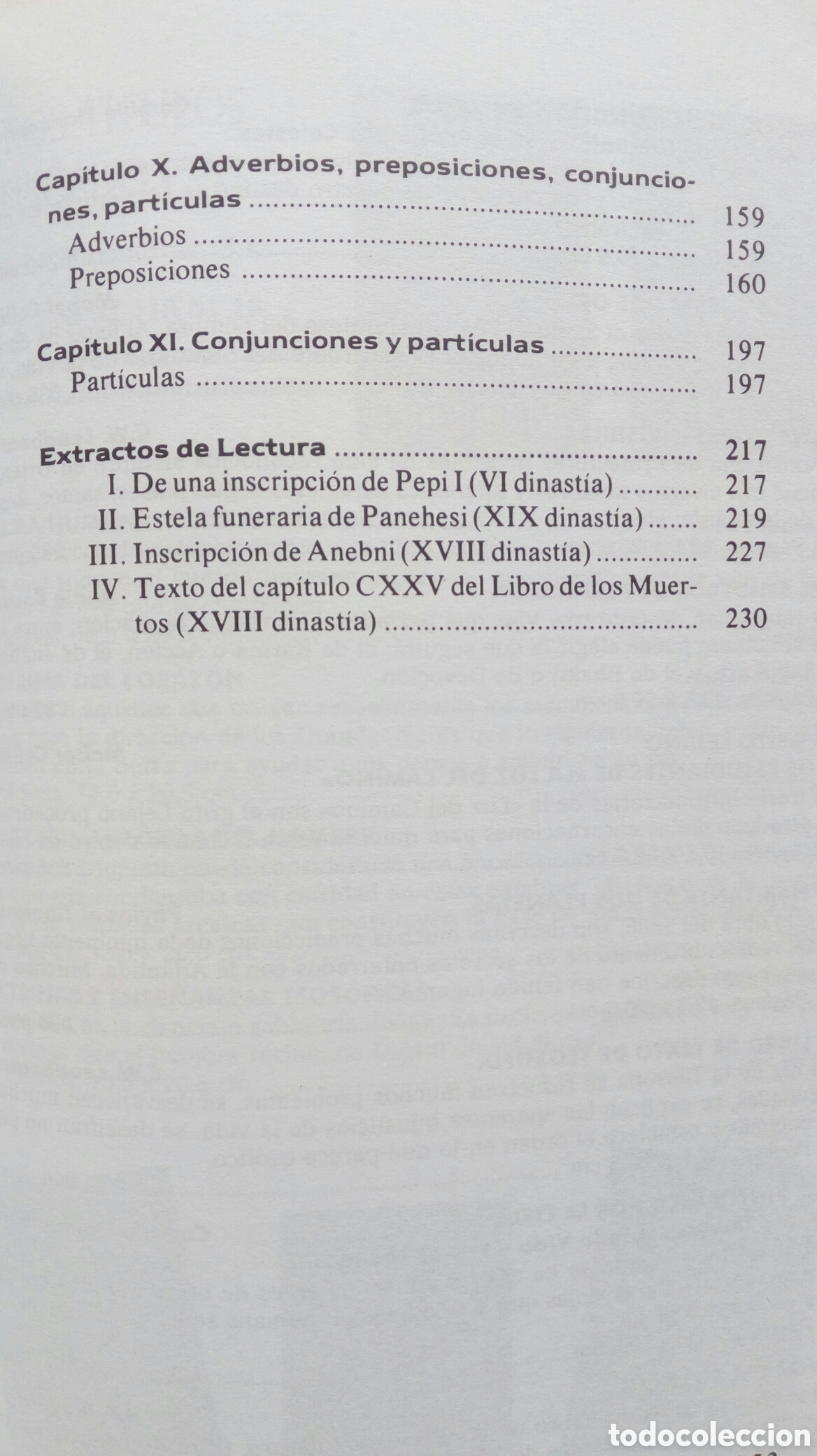 Libros de segunda mano: Jerogl&iacute;ficos egipcios. E.A. Wallis Budge. - Foto 5