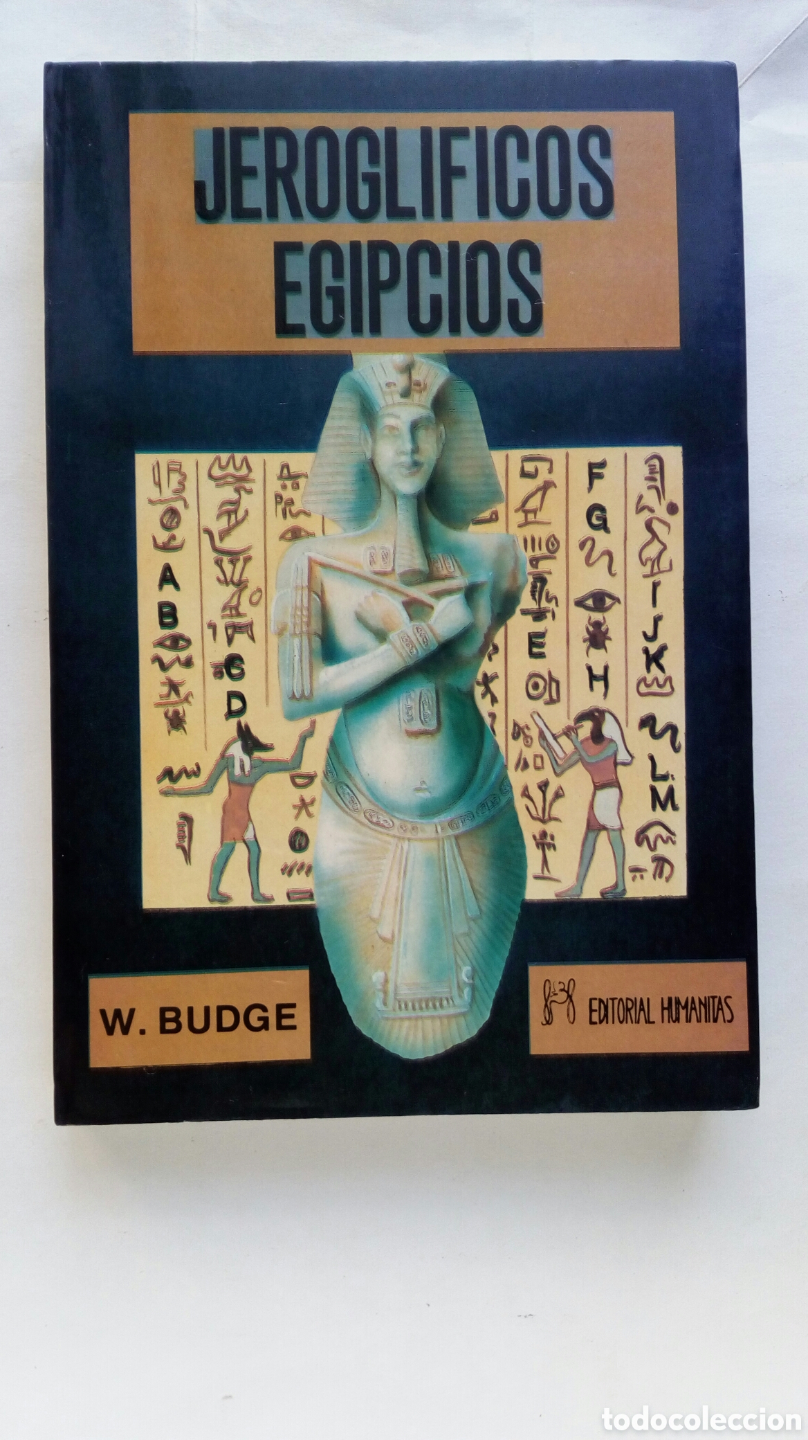 Libros de segunda mano: Jerogl&iacute;ficos egipcios. E.A. Wallis Budge.