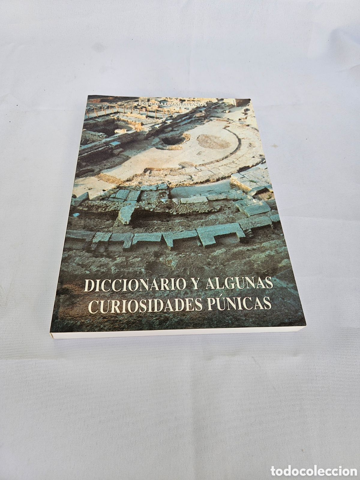 Libros de segunda mano: PEDRO DIAZ MANRESA ROS. DICCIONARIO Y ALGUNAS CURIOSIDADES PUNICAS