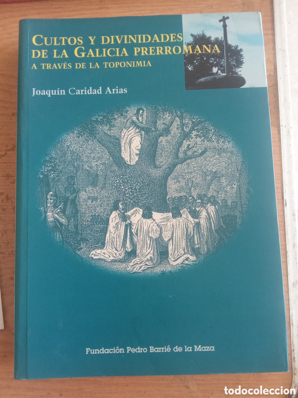 Libros de segunda mano: Cultos y divinidades de la Galicia prerromana a trav&eacute;s de la toponimia