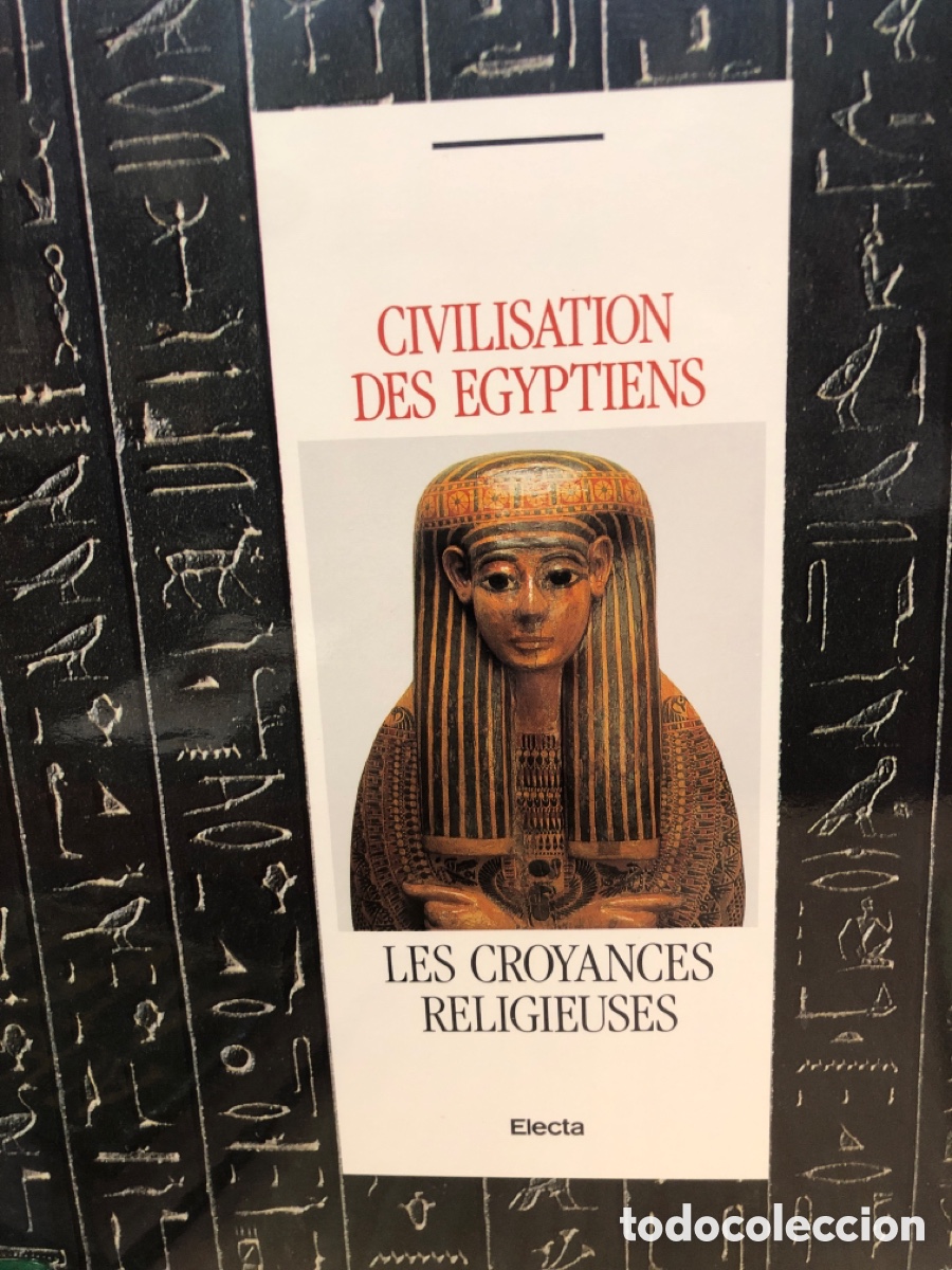 Libros de segunda mano: Mus&eacute;e &Eacute;gyptien de Tur&iacute;n. Civilisation des &Eacute;gyptiens. Les croyances religieuses