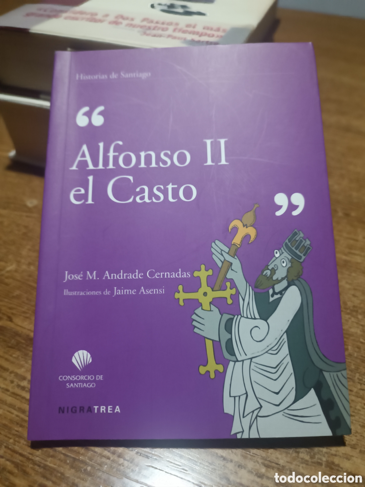 Libros de segunda mano: Alfonso II el casto nigratrea ilustraciones Jaime Asensi Jos&eacute; M Andrade Cernadas consorcio santiago
