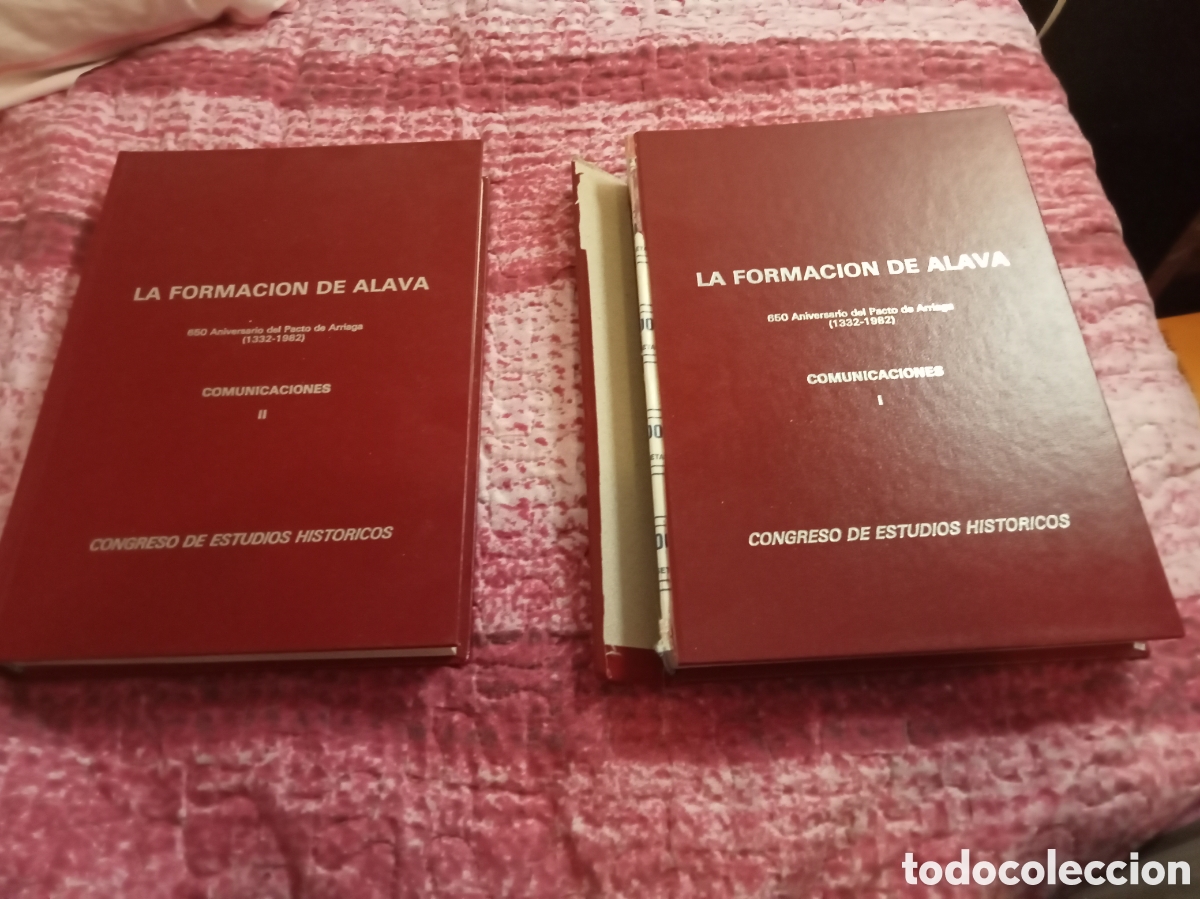 Libros de segunda mano: La formaci&oacute;n de &Aacute;lava Tomos I y II. COMUNICACIONES