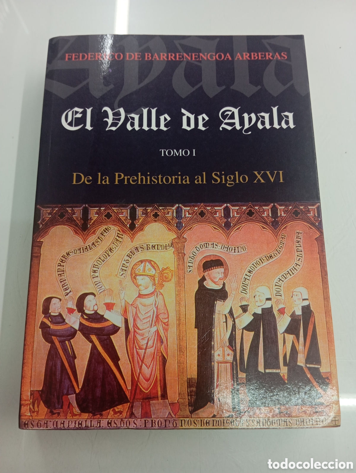 Libros de segunda mano: El valle de Ayala De la Prehistoria al Siglo XVI Federico de Barrenengoa Dip. Alava 2002 PAIS VASCO