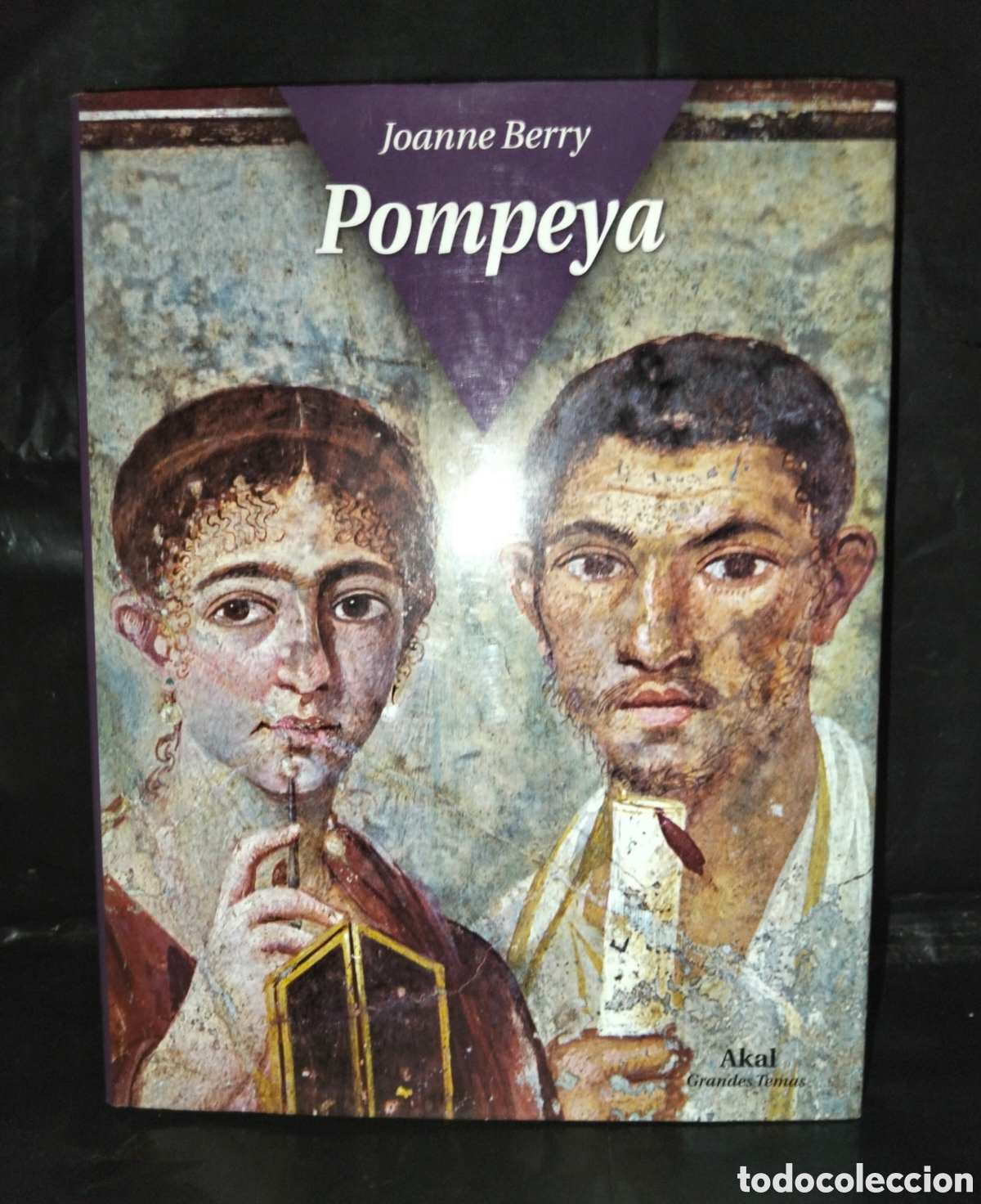 Libros de segunda mano: JOANNE BERRY. POMPEYA .AKAL